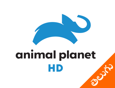 Animal Planet HD Telugu